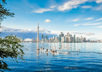 Toronto, kurs General English [Ardmore]